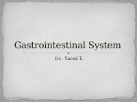 8. gastrointestin.pdf